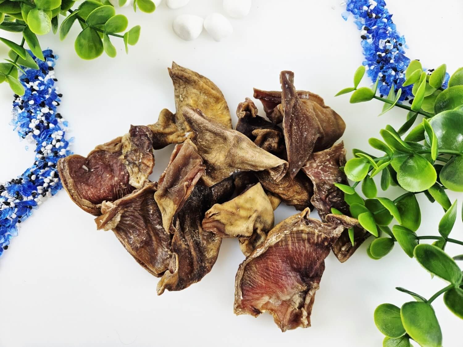 Tessa kuivatatud seamagu koertele 100g