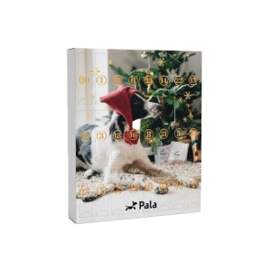PALA KOERA ADVENDIKALENDER 24X10G