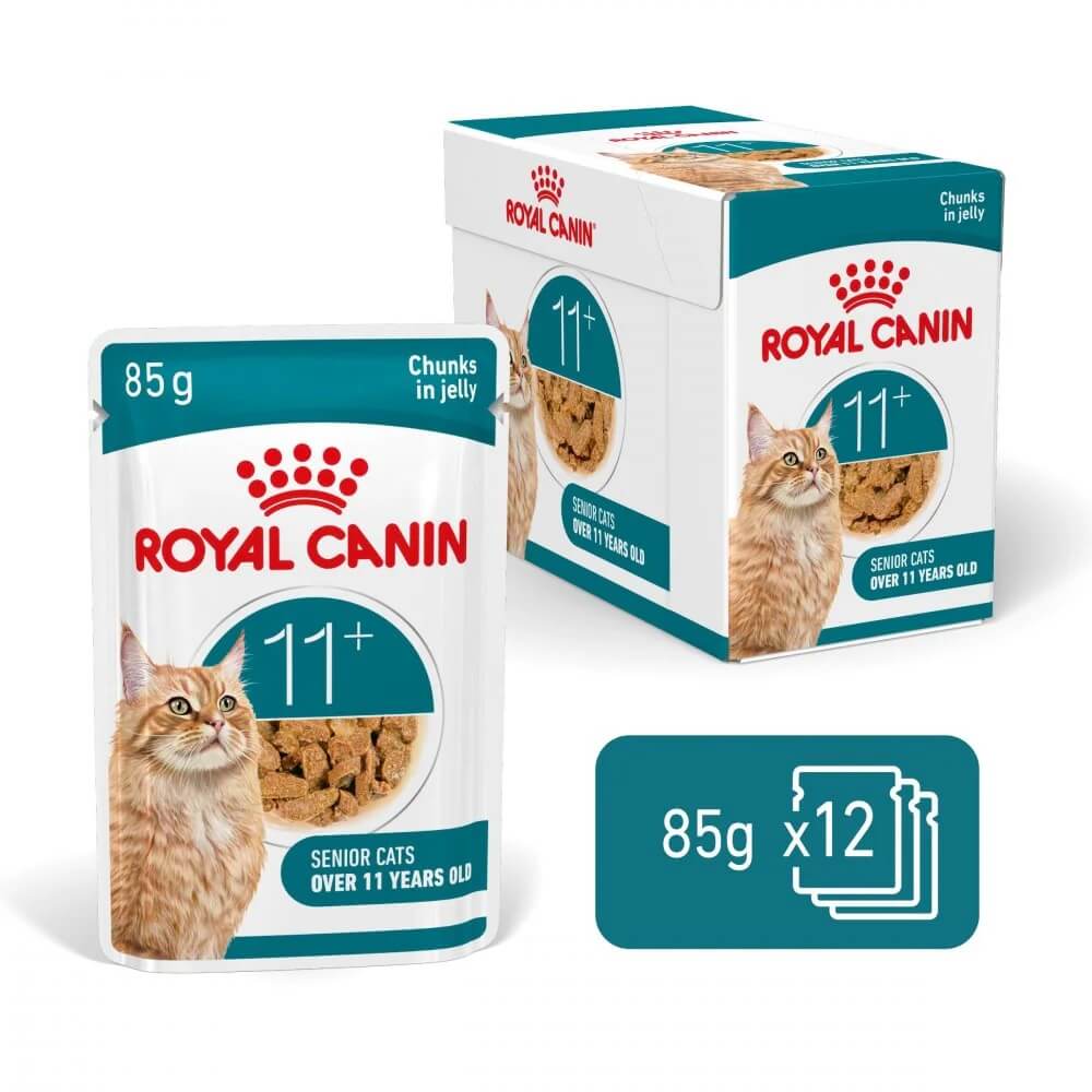 Royal Canin FHN C Ageing 11+ Jelly 12x85g