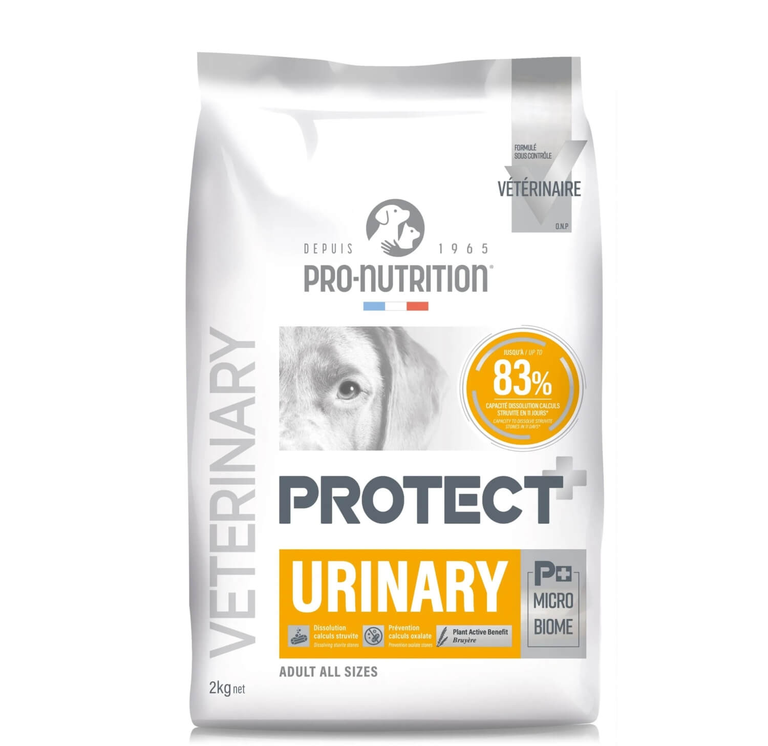 Protect Dog Urinary Kuseteede probleemidega Koertele 12kg