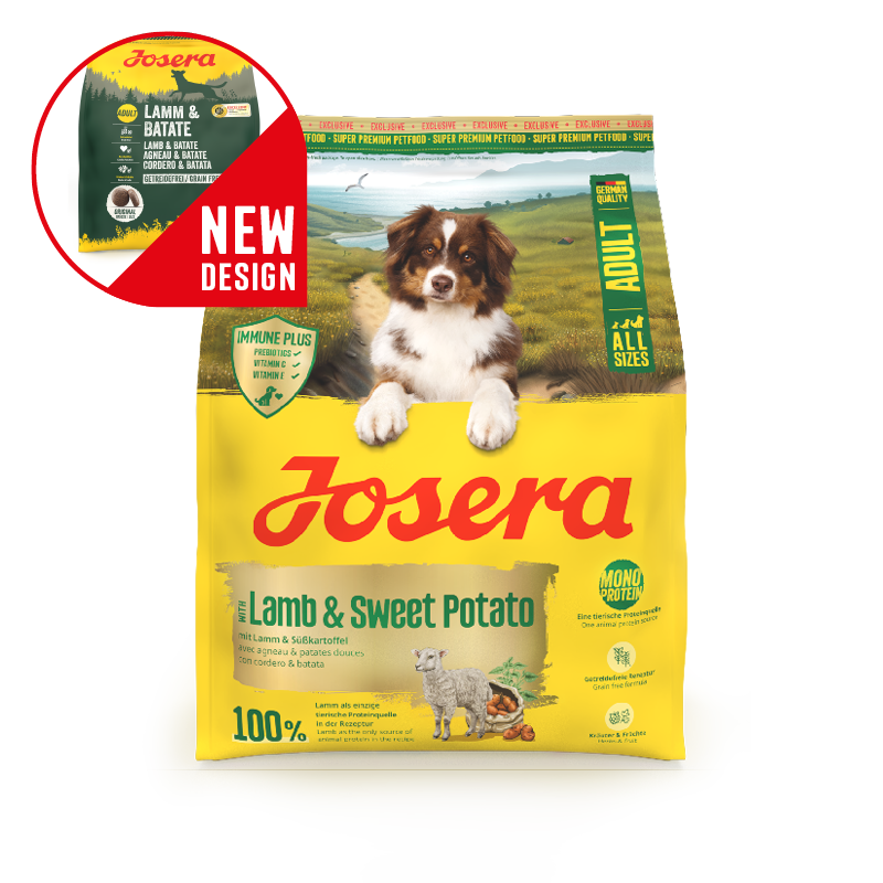 Josera Adult Lamb&Sweet Potato 900g