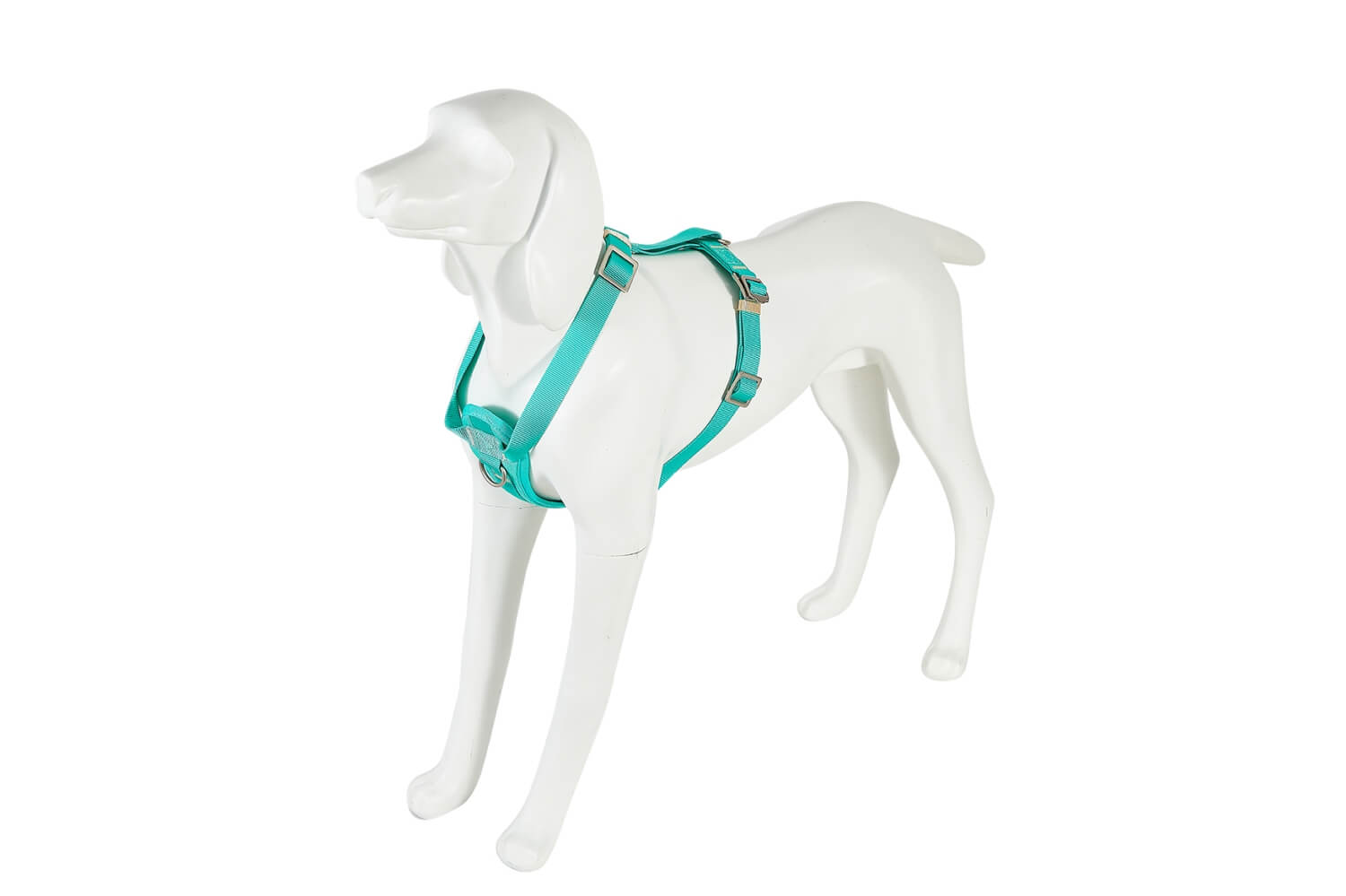 Freedog Saferide türkiissinised turvatraksid koerale M 25mm x 43/58cm