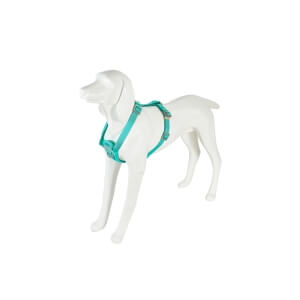 Freedog Saferide türkiissinised turvatraksid koerale M 25mm x 43/58cm