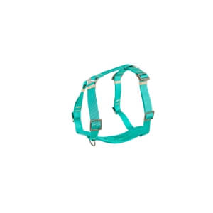 Freedog Saferide türkiissinised turvatraksid koerale S 20mm x 32/50cm