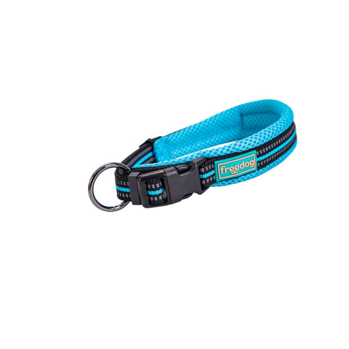 Freedog Soft-Sport türkiissinine nailonist kaelarihm 25mm x 38/66cm