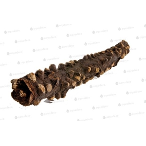 Террариумный декор Глаза дерево 20-30см