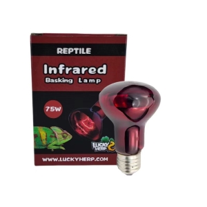 Terraariumi lamp Lucky Herp Basking Infrared R80 75W