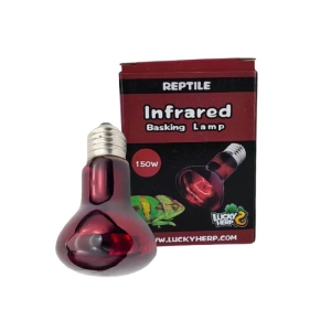 Terraariumi lamp Lucky Herp Basking Infrared R95 150W