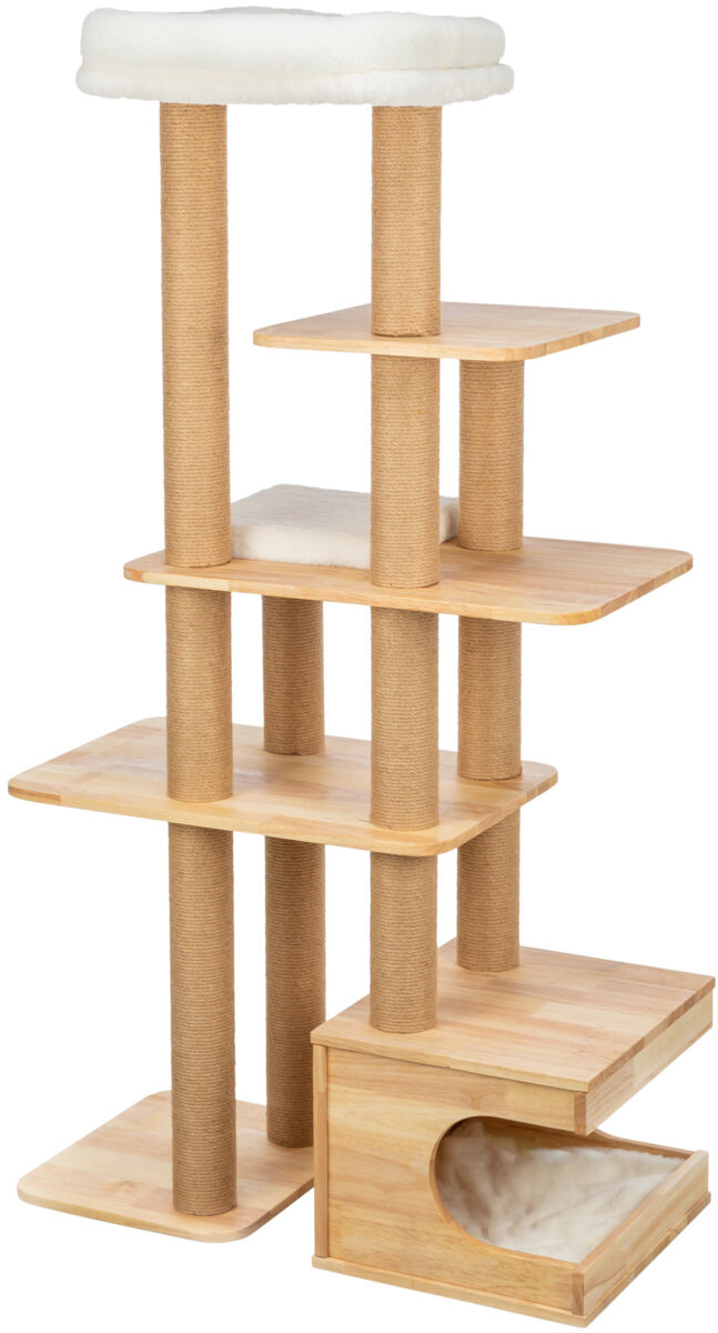 Kassimaja Thiago, 147 cm, looduslik