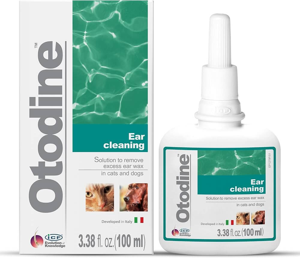 IC-Otodine100ml (bakteriaalsete kõrvapõletike korral)