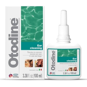 IC-Otodine100ml (bakteriaalsete kõrvapõletike korral)