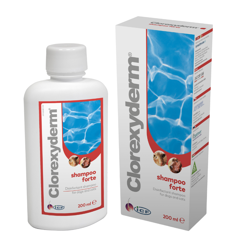 IC-Clorexyderm Shampoo Forte  2% 200ml (antiseptiline šampoon)