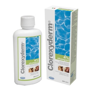 IC-Clorexyderm Shampoo  4% 250ml (antiseptiline šampoon)