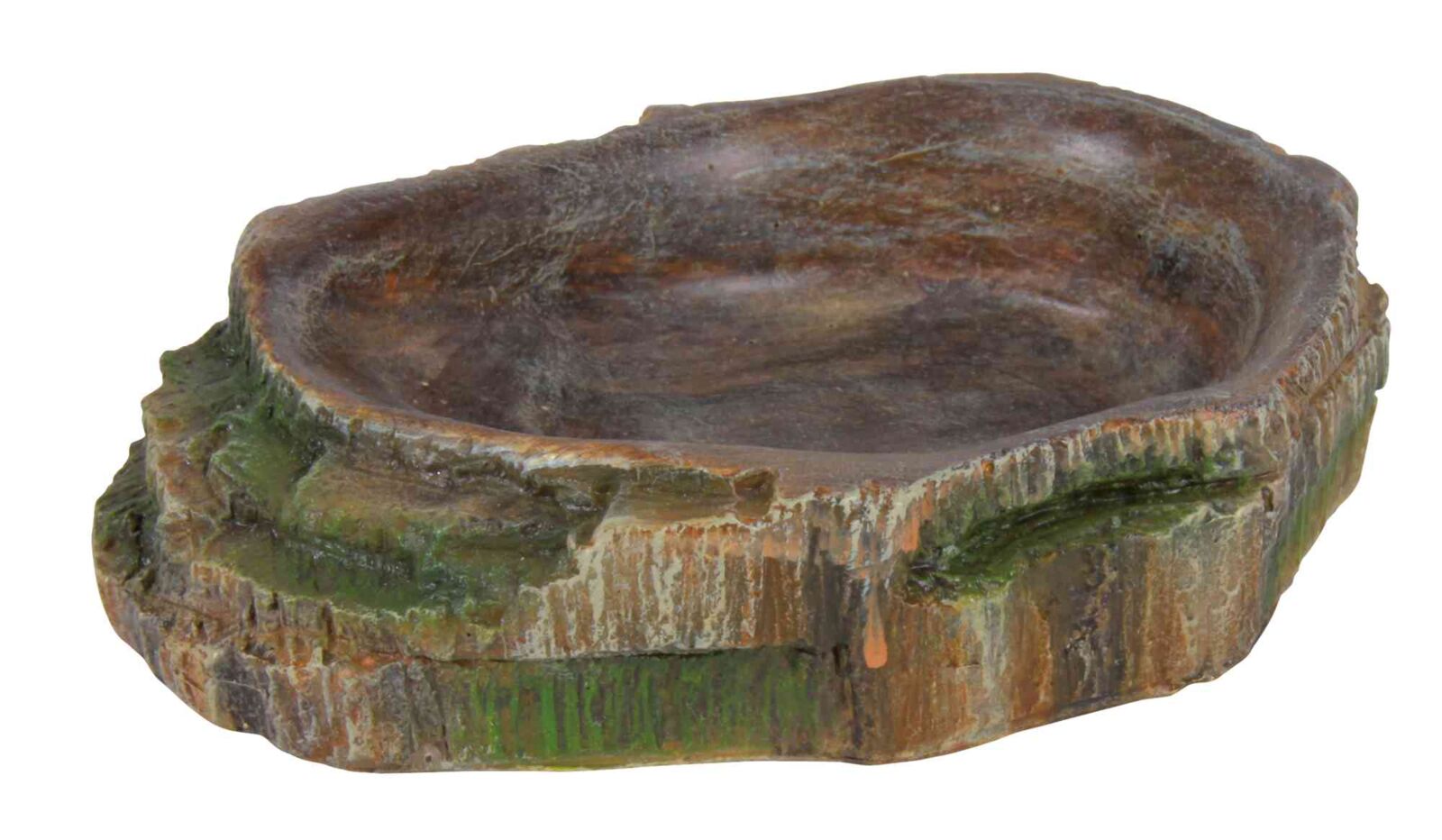 Terrariumi kauss, 18x4.5x17cm