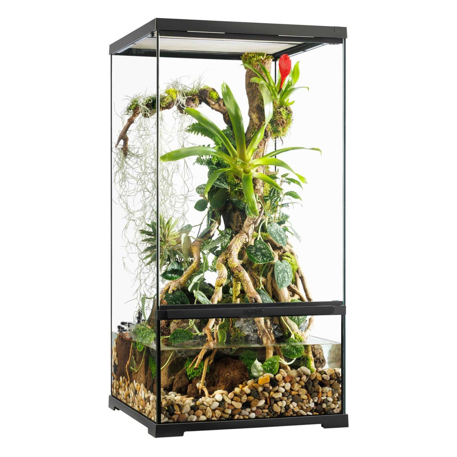 Klaasist terraarium Exo-Terra Pro Paludarium Small/X-Tall 45x45x90cm