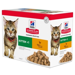 Hills kassipoja einekotike kana 85g 12tk