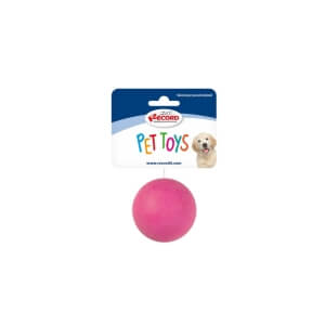 Record tugev pall koerale 6,5cm (assortii)