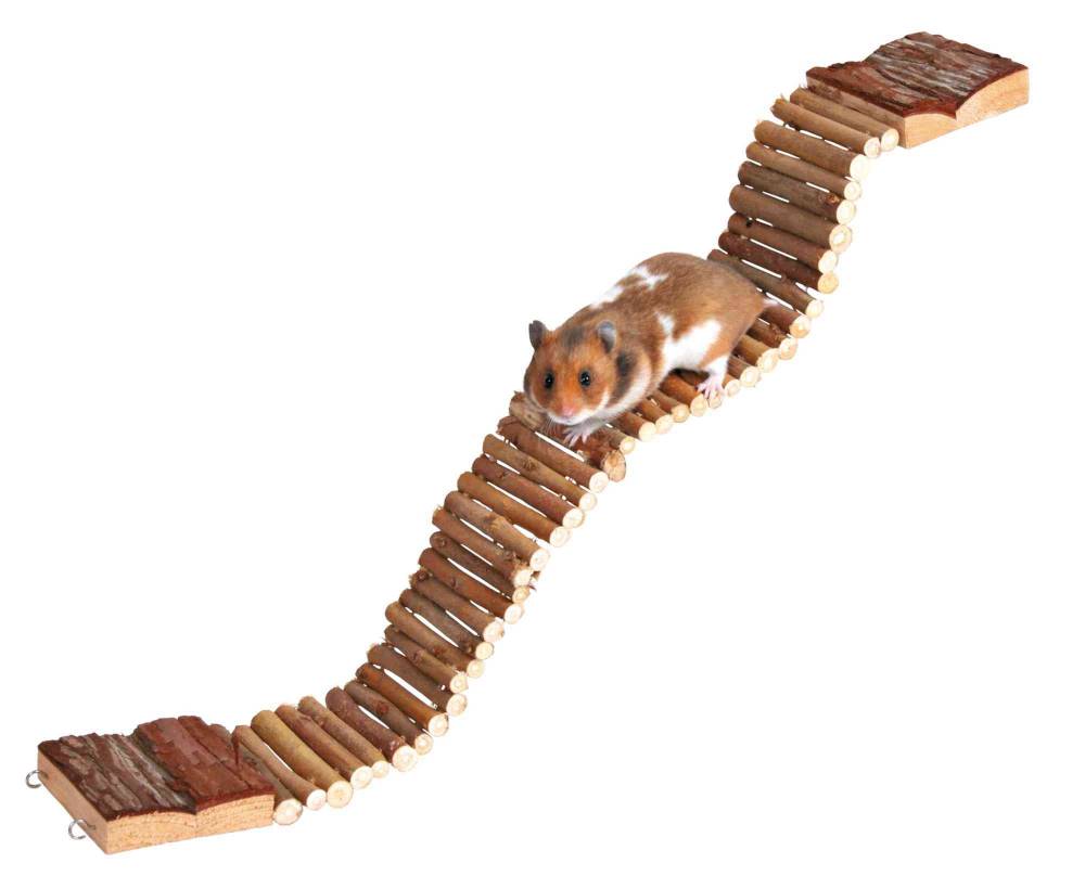 Ladder, hamsters, bark wood, 7 × 55 cm