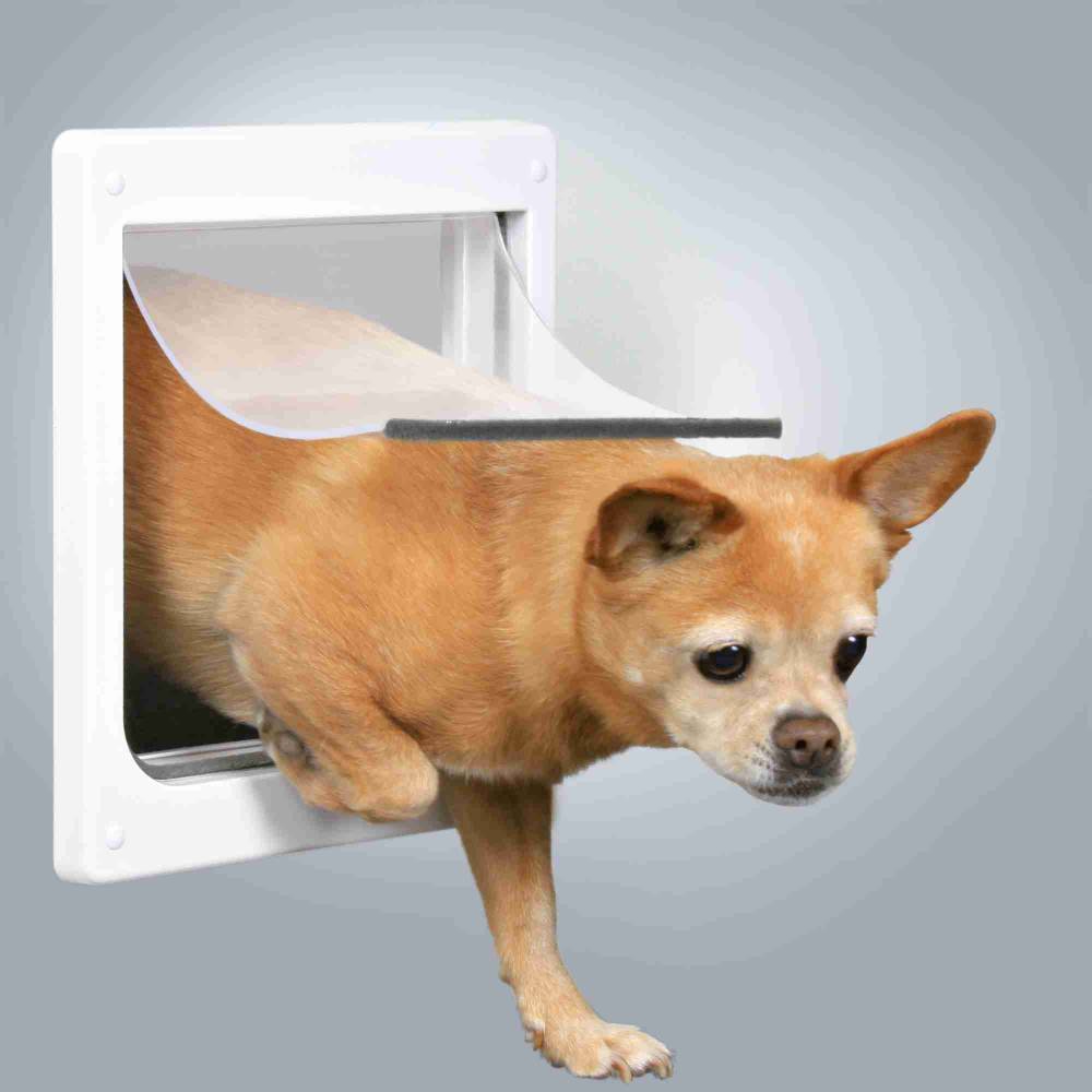 2-Way dog flap, with tunnel, XS–S: 25 × 29 cm, white