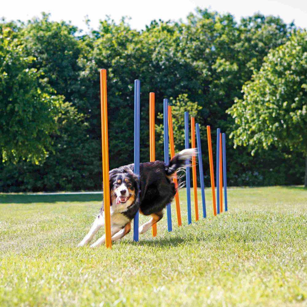 DogActivity Agility slaalom, plastik, 3x115cm, tk.sinine/oranž