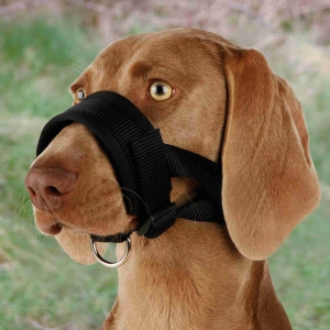 Muzzle loop, nylon, XL: 20–30 cm, black