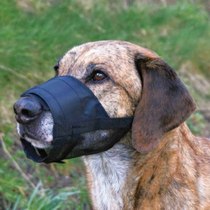 Muzzle with net insert, polyester, S–M: 18–39 cm, black