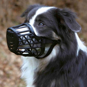 Muzzle, plastic, S, black