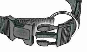 Premium collar, XS–S: 22–35 cm/10 mm, graphite