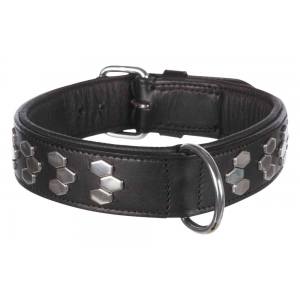 Active collar with studs, leather, XL: 65–75 cm/40 mm, black