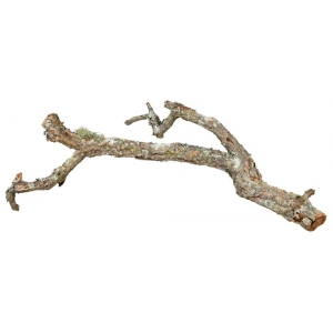 Tronchos, cork branches, 1 kg