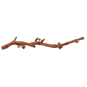 Grape vine, water-blasted, L: 40–60 cm