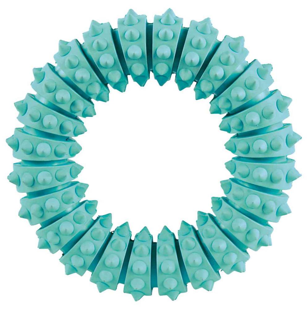 Koera mänguasi Denta Fun ring mint flavour 12cm.