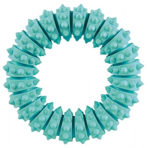 Koera mänguasi Denta Fun ring mint flavour 12cm.