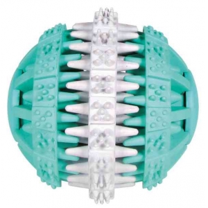 Koera mänguasi Denta Fun Ball Mintfresh  6cm