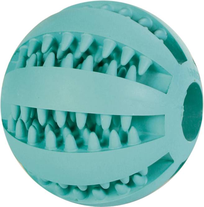 Koera mänguasi DentaFun ball mint flavour 7cm