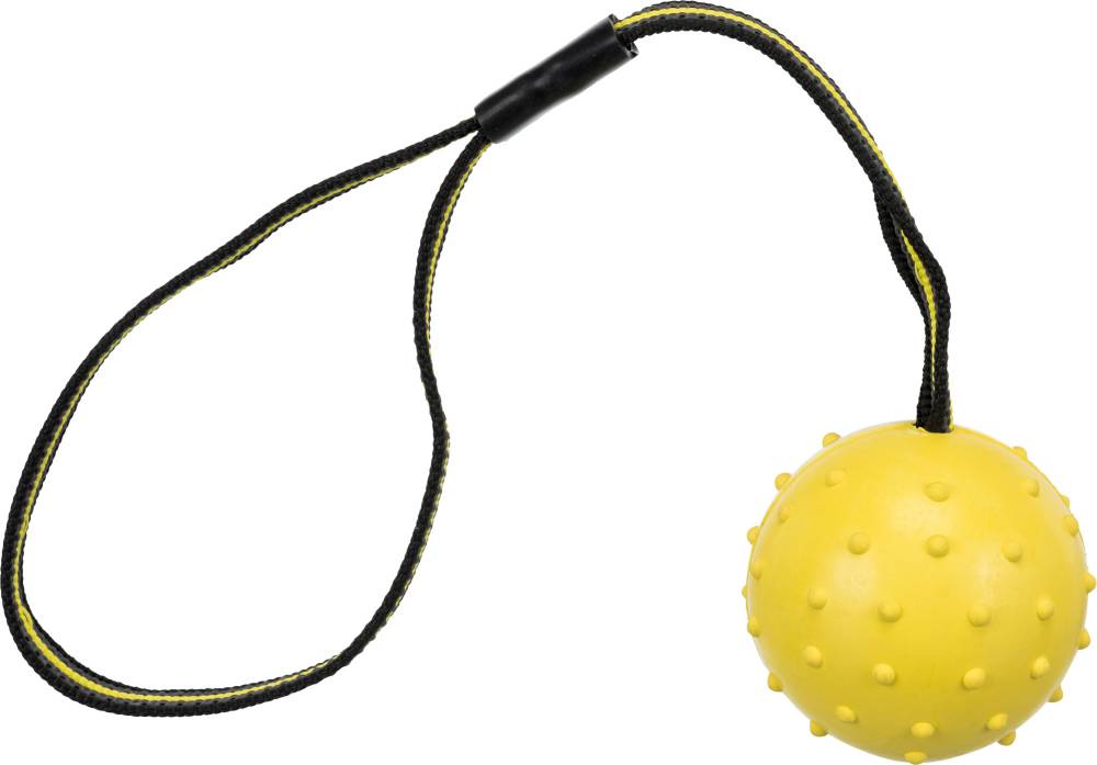 Koera mänguasi Ball on a strap kummipall 6cm/35cm