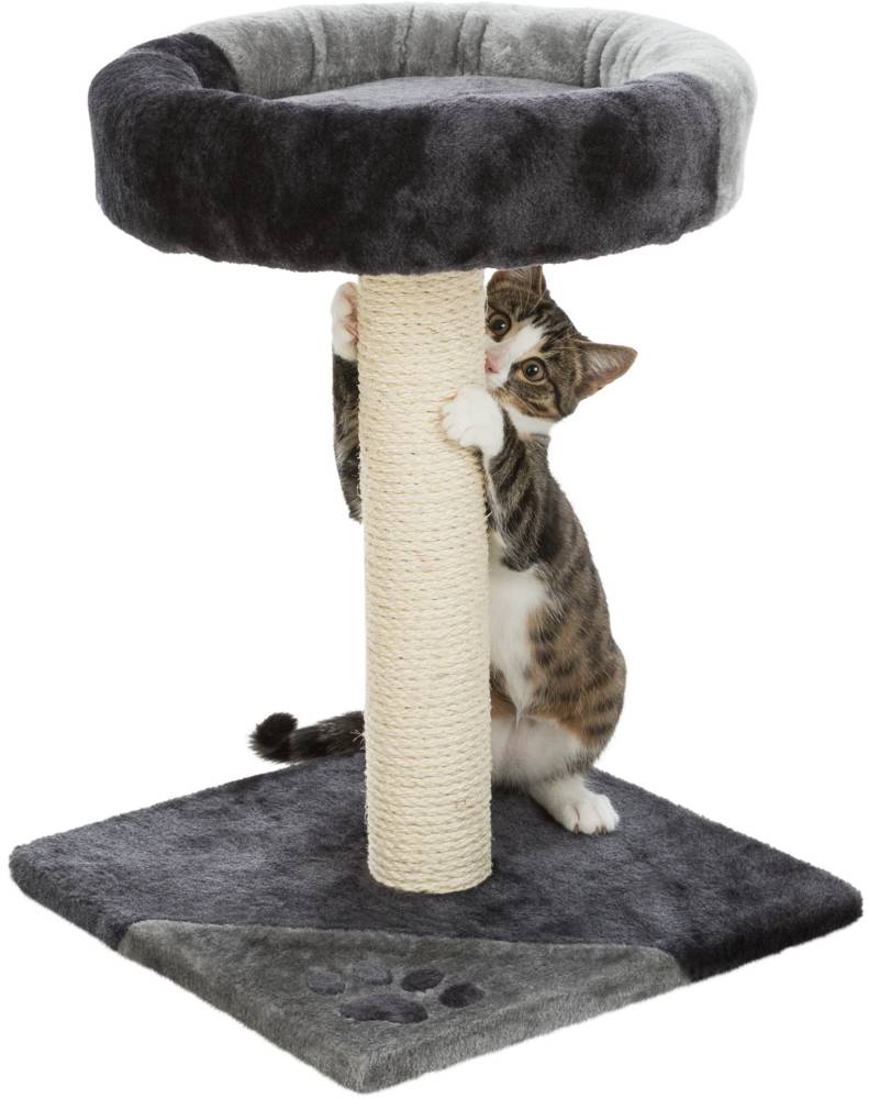 Junior Tarifa scratching post, 52 cm, grey/black