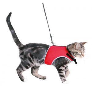 Soft harness cat, with leash, 24–42 cm, 1.20 m