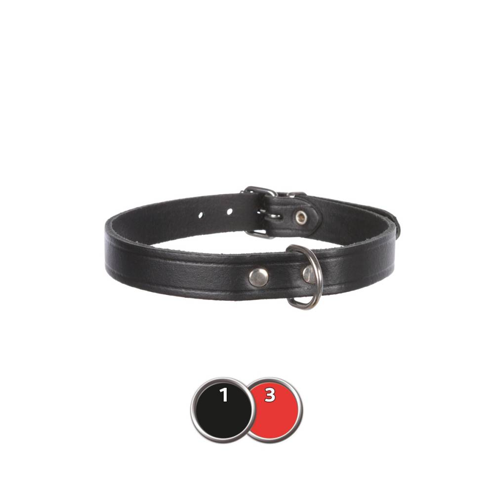 Basic collar, leather, S: 28–34 cm/14 mm, red