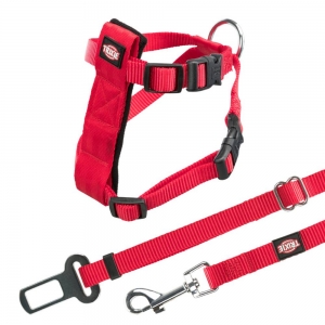 Car cat harness, 20–50 cm/15 mm, red