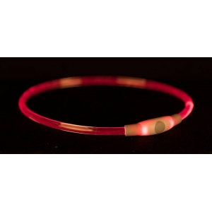 Kaelarihm Flash Light ring USB, S–M: 40 cm/ø 8 mm, mitmevärviline