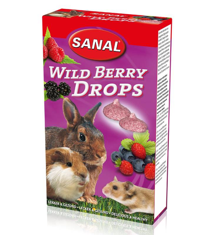 SANAL när. Wild Berry Drops/tropsid metsmarjadega 45g