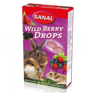 SANAL när. Wild Berry Drops/tropsid metsmarjadega 45g