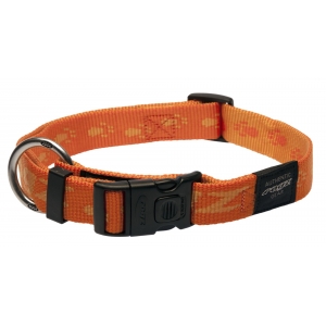 Kaelarihm Everest 25mm/43-70cm orange