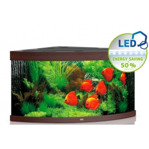 Akvaarium Trigon 190 LED Dark Wood (pruun-190L)