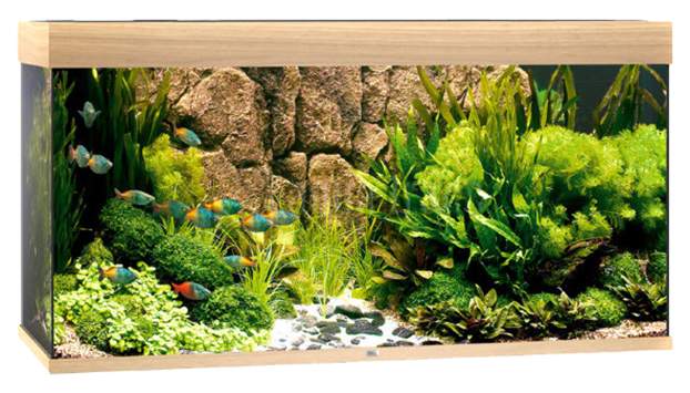 Akvaarium Rio 350 LED Light Wood (hele)