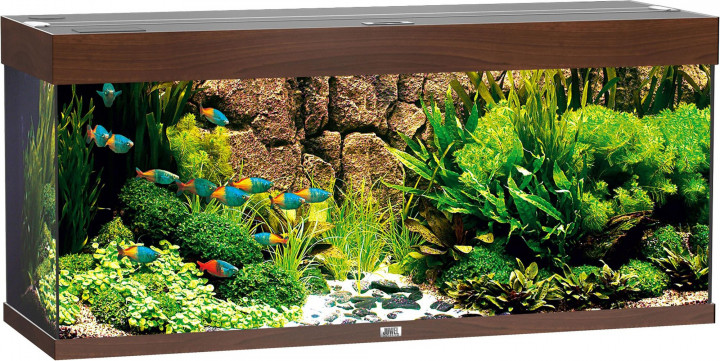 Akvaarium Rio 240 LED Dark Wood (pruun-240L)