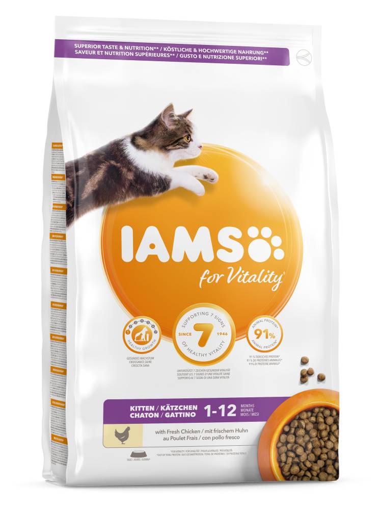 IAMS CAT Kitten 2.55kg