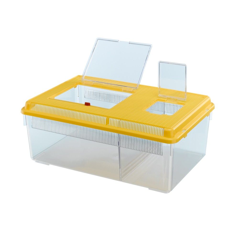 Transpordiboks Geo Flat L 30,5x46,7x17.5cm/8l