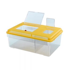 Transpordiboks Geo Flat L 30,5x46,7x17.5cm/8l